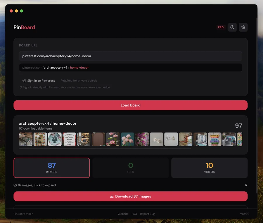 PinBoard showing a loaded Pinterest board split into images, GIFs and videos, ready to download